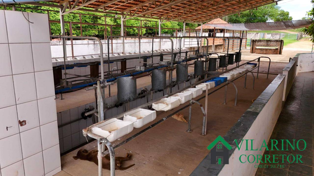 Fazenda, 165 hectares - Foto 32