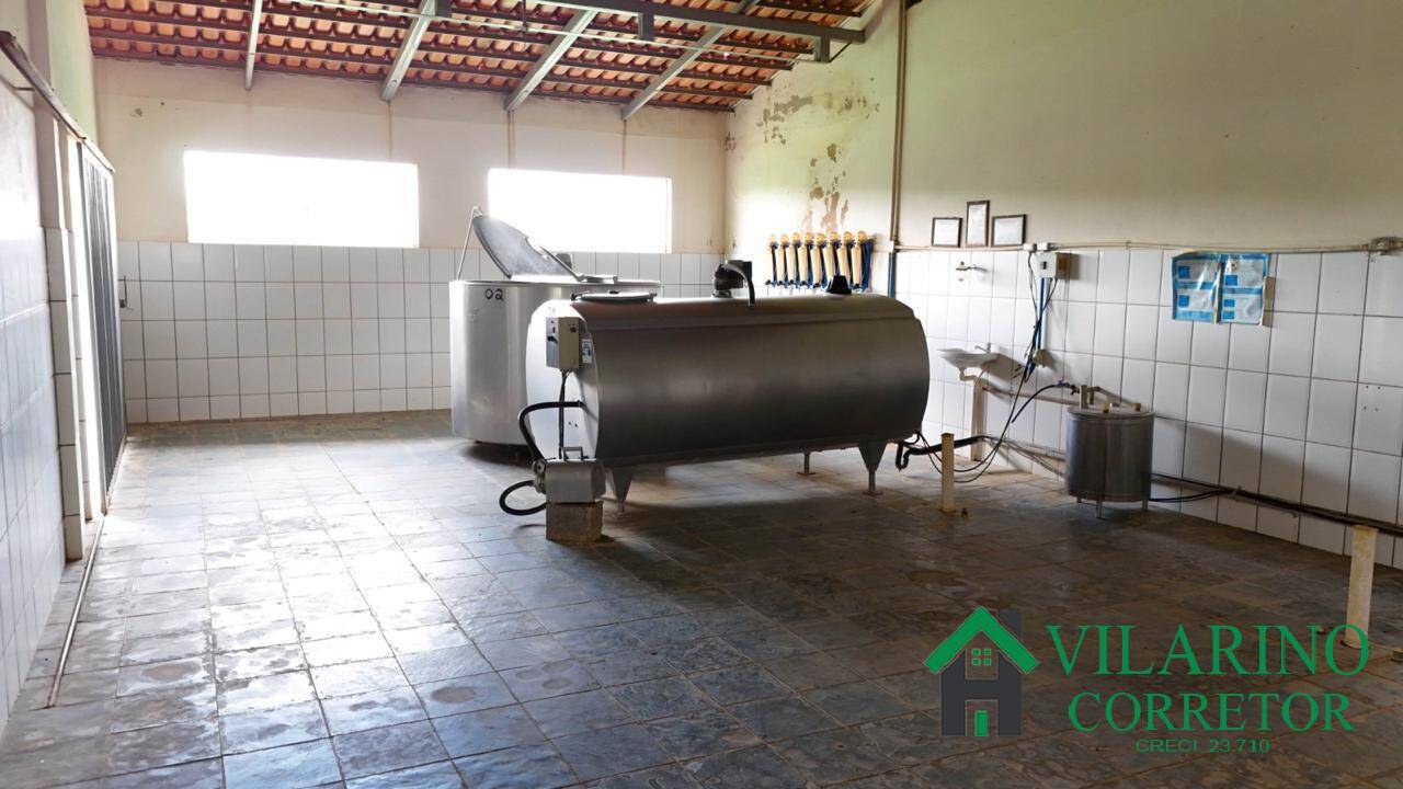 Fazenda, 165 hectares - Foto 29