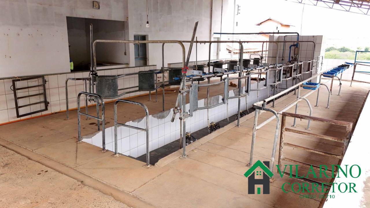 Fazenda, 165 hectares - Foto 27