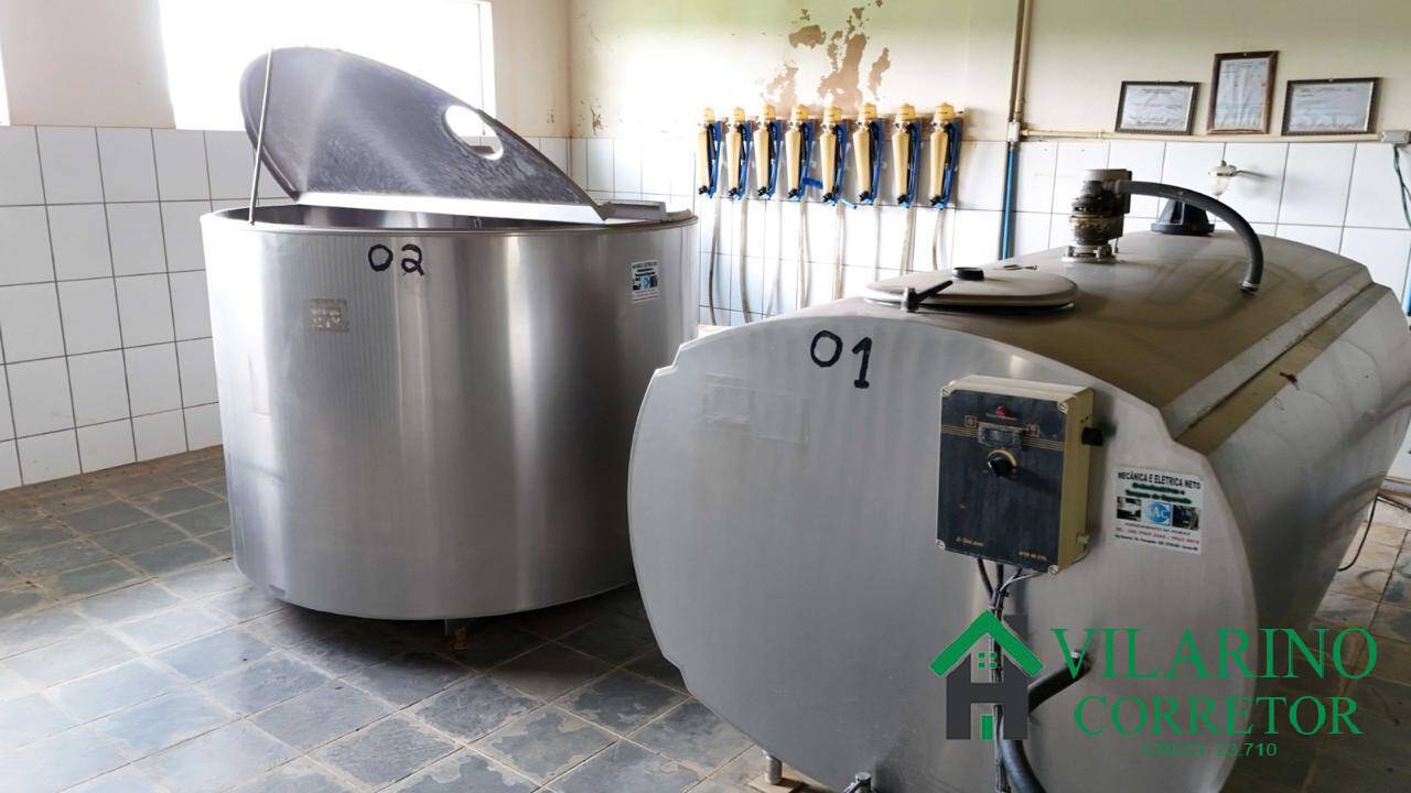 Fazenda, 165 hectares - Foto 33