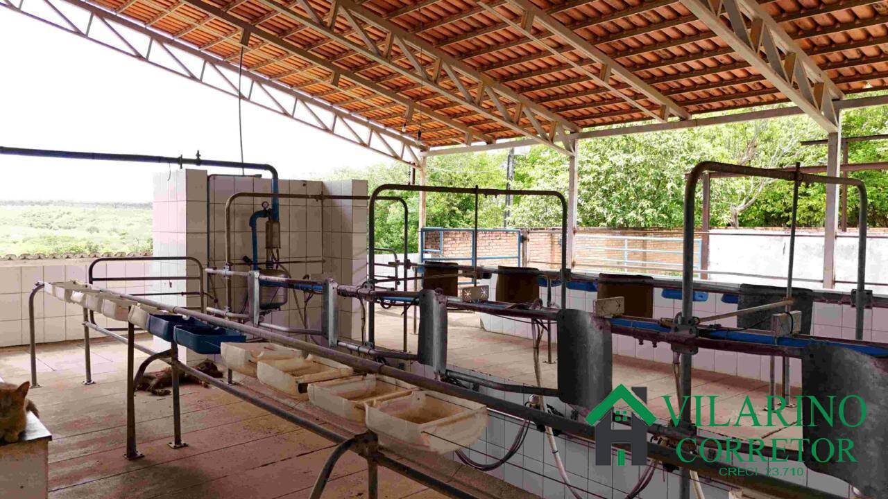 Fazenda, 165 hectares - Foto 28