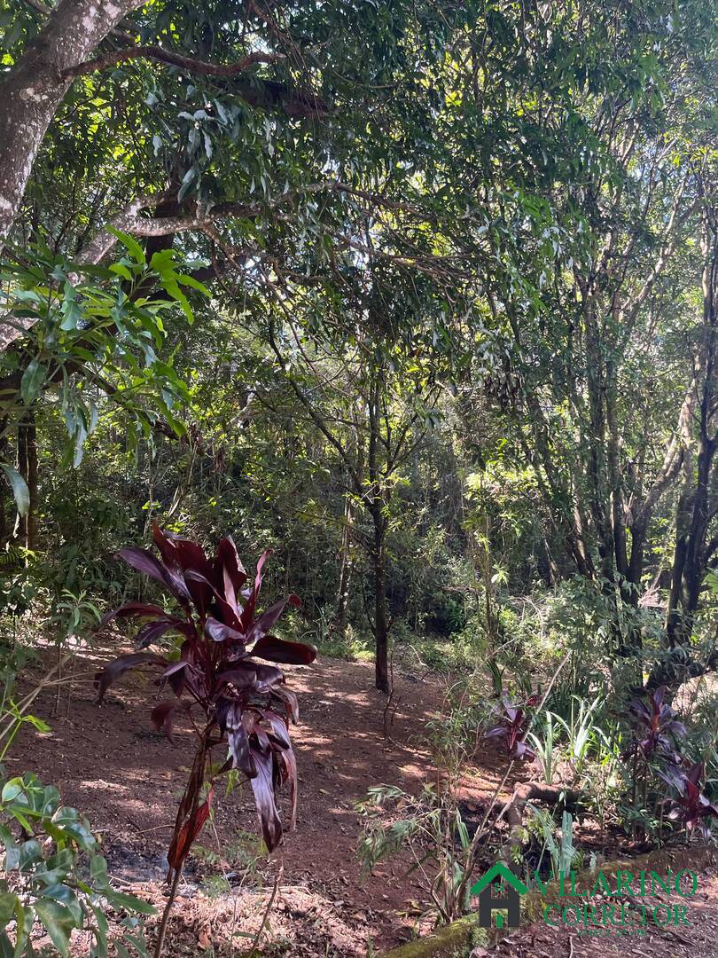 Sítio à venda com 2 quartos, 300m² - Foto 8