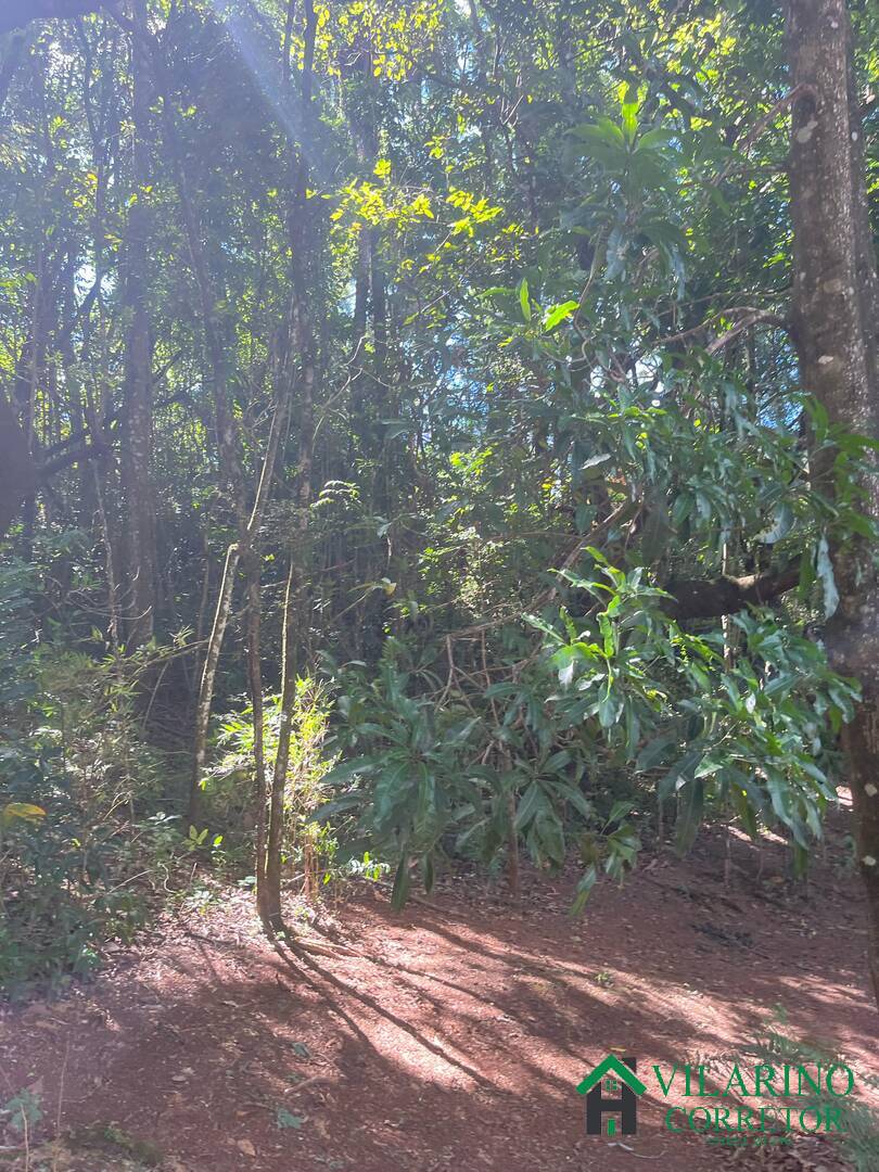 Sítio à venda com 2 quartos, 300m² - Foto 9