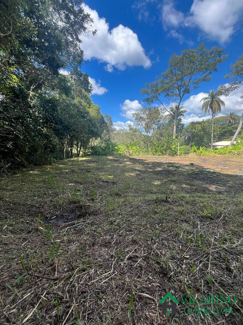 Sítio à venda com 2 quartos, 300m² - Foto 71