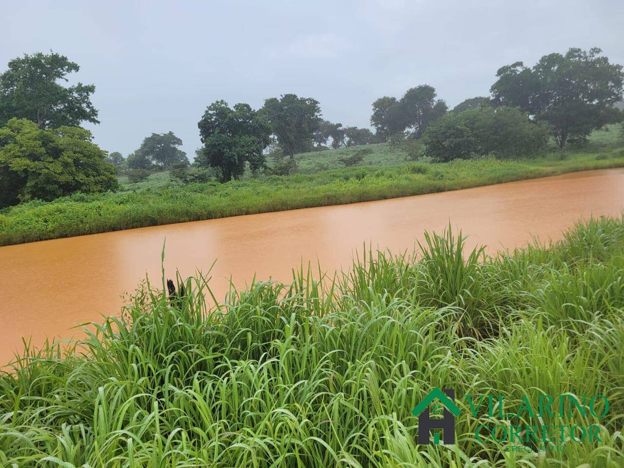 Fazenda, 610 hectares - Foto 19