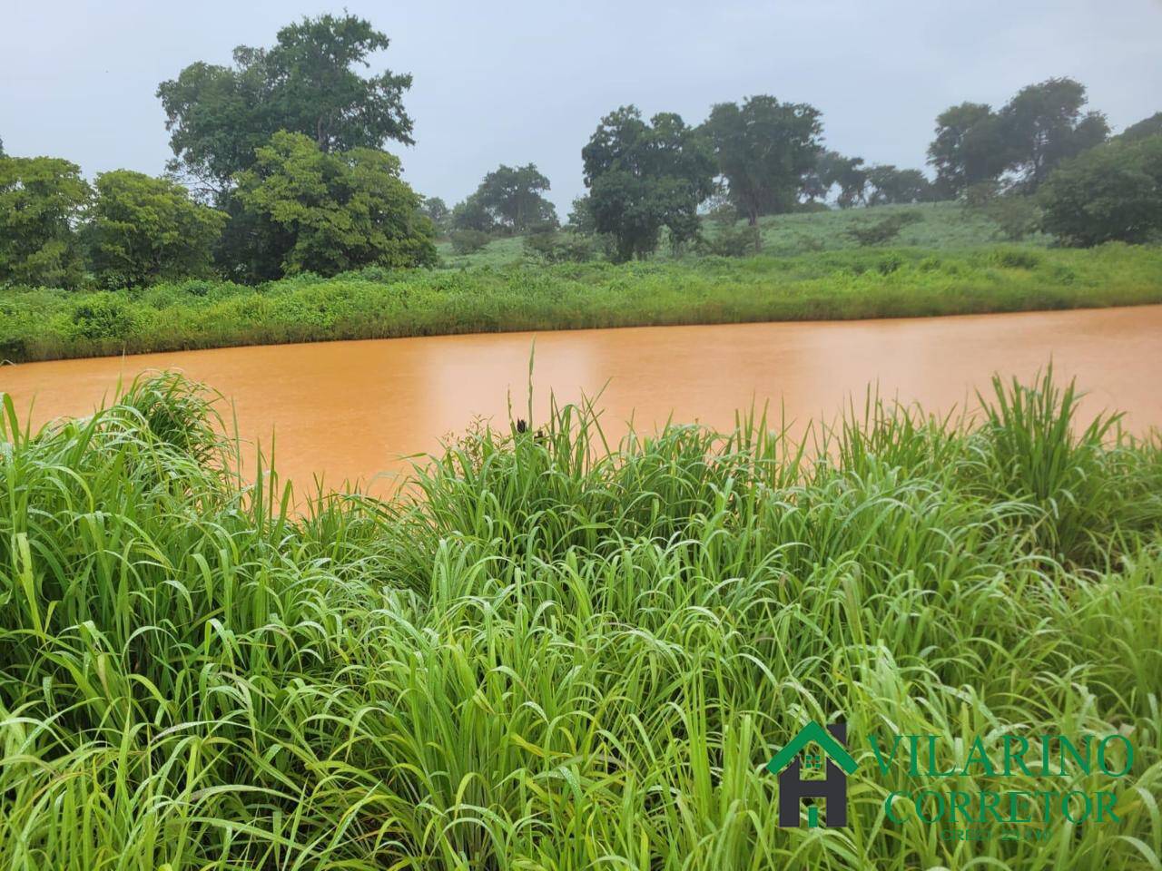 Fazenda, 610 hectares - Foto 20