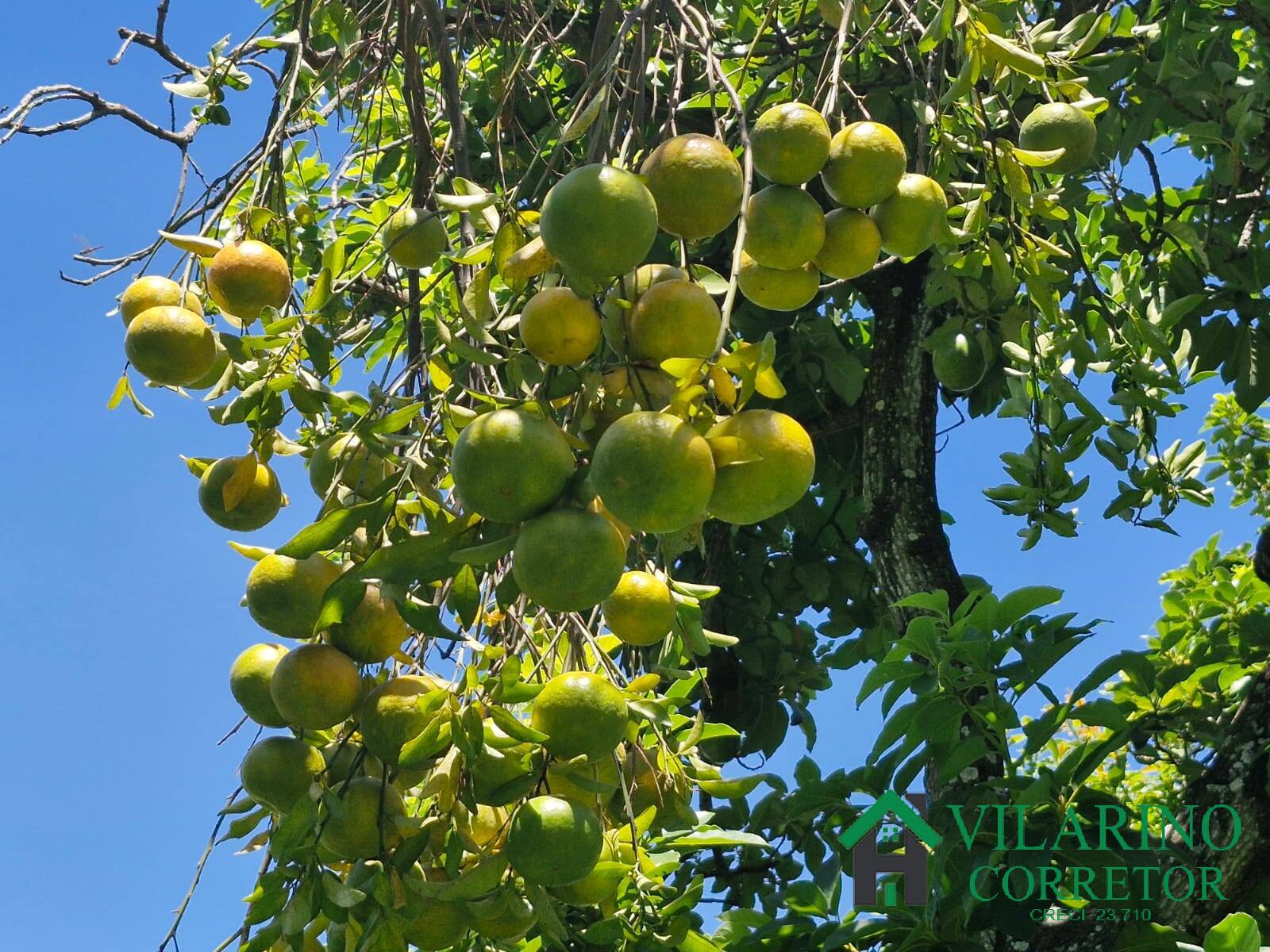 Casa, 3 quartos - Foto 32