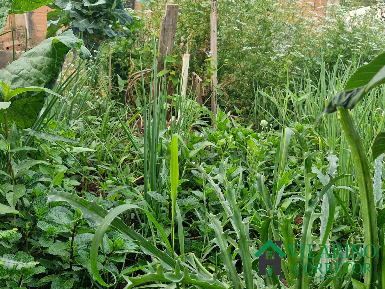 Casa, 3 quartos - Foto 27