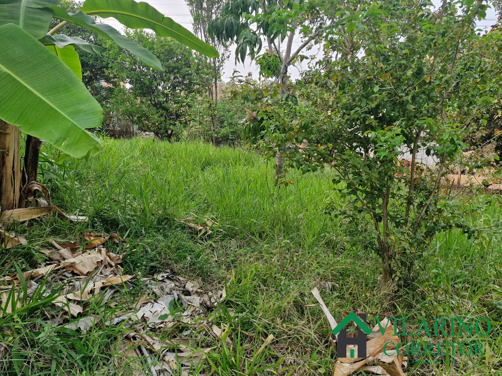 Casa, 3 quartos - Foto 28