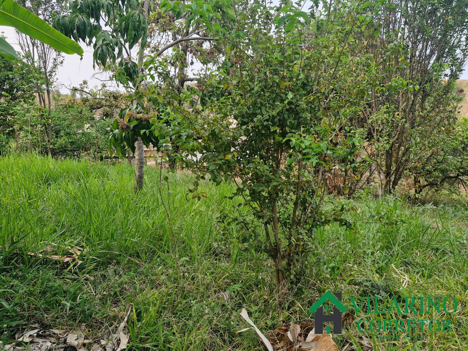 Casa, 3 quartos - Foto 30