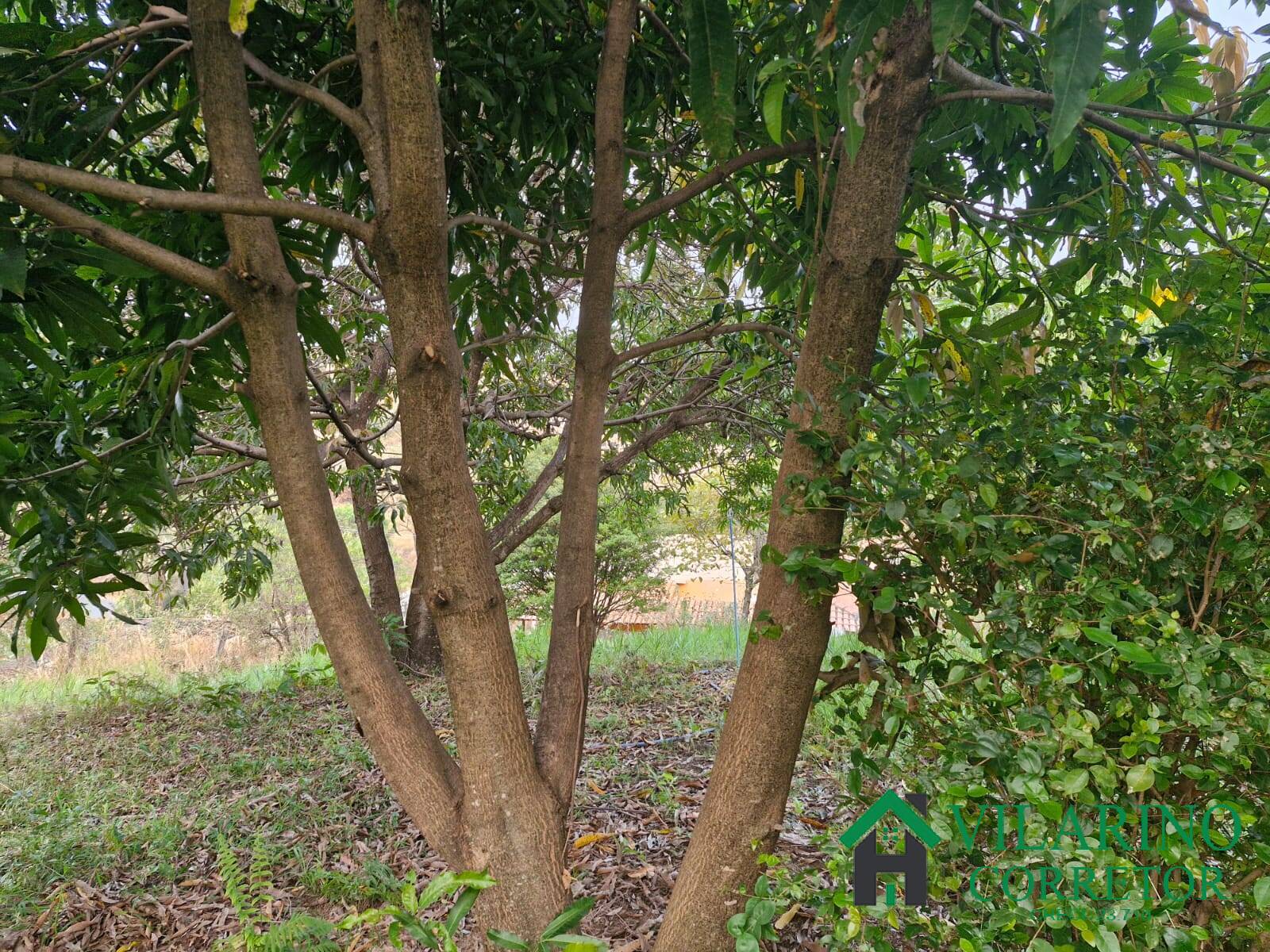 Casa, 3 quartos - Foto 35