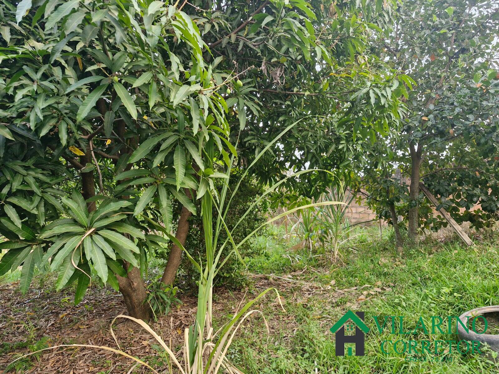 Casa, 3 quartos - Foto 36