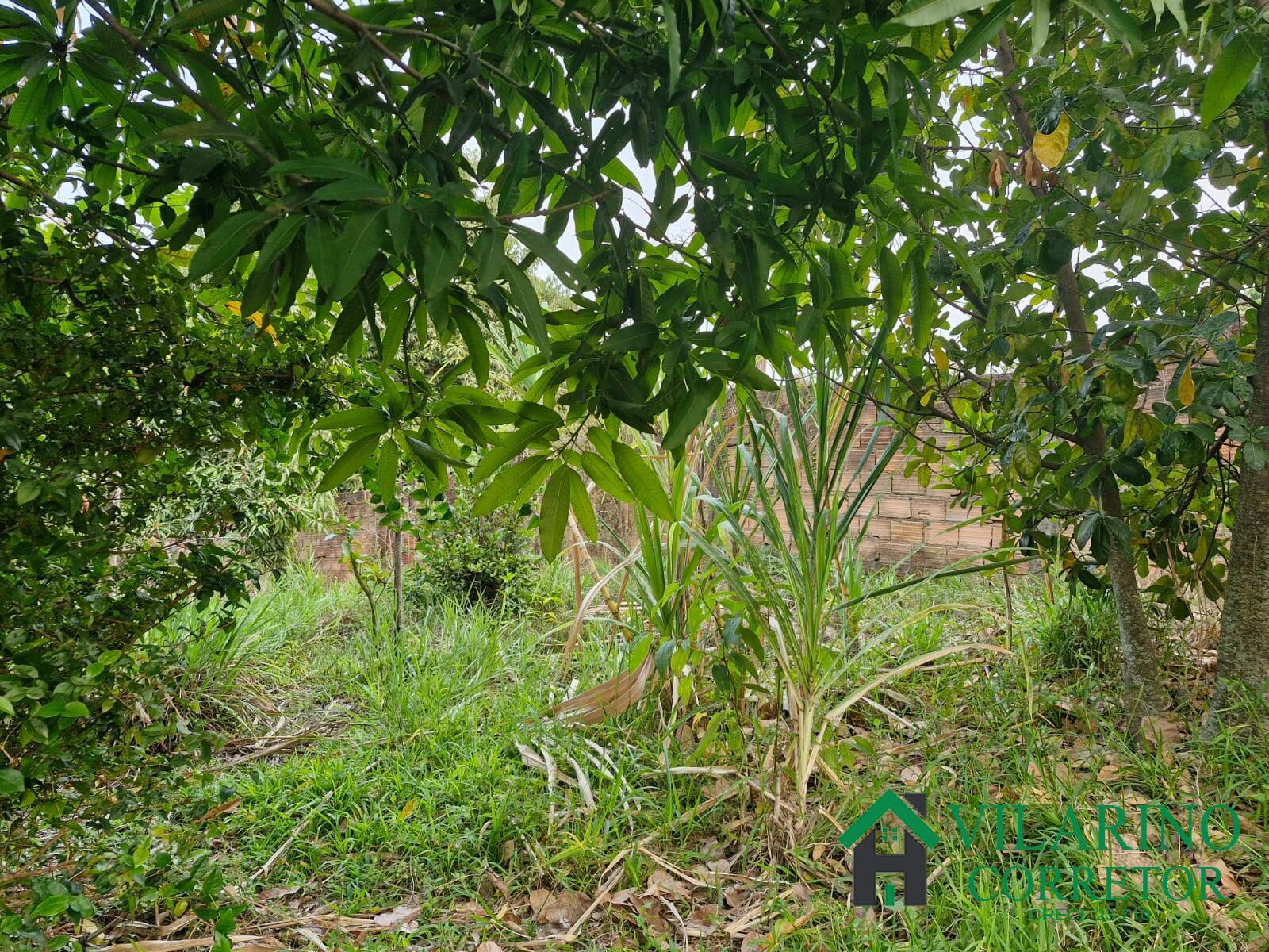 Casa, 3 quartos - Foto 34