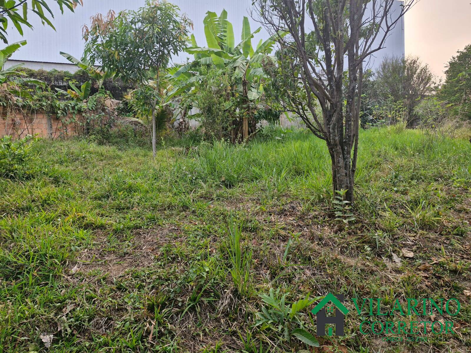 Casa, 3 quartos - Foto 37