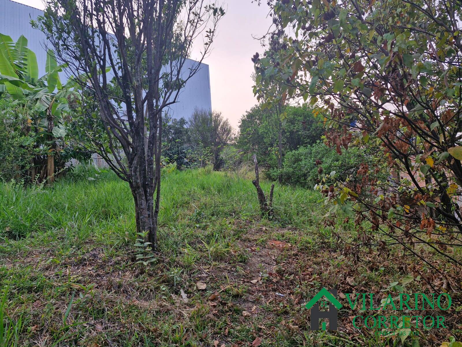 Casa, 3 quartos - Foto 39