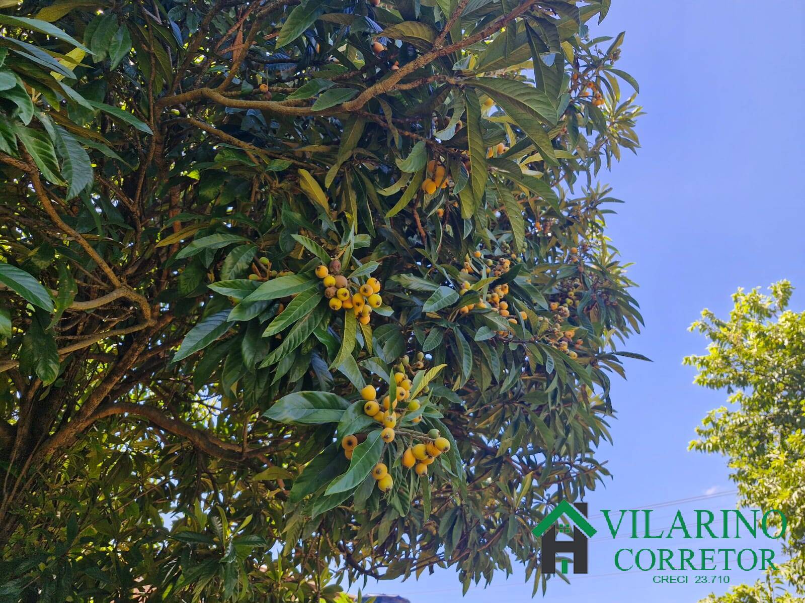 Casa, 3 quartos - Foto 38