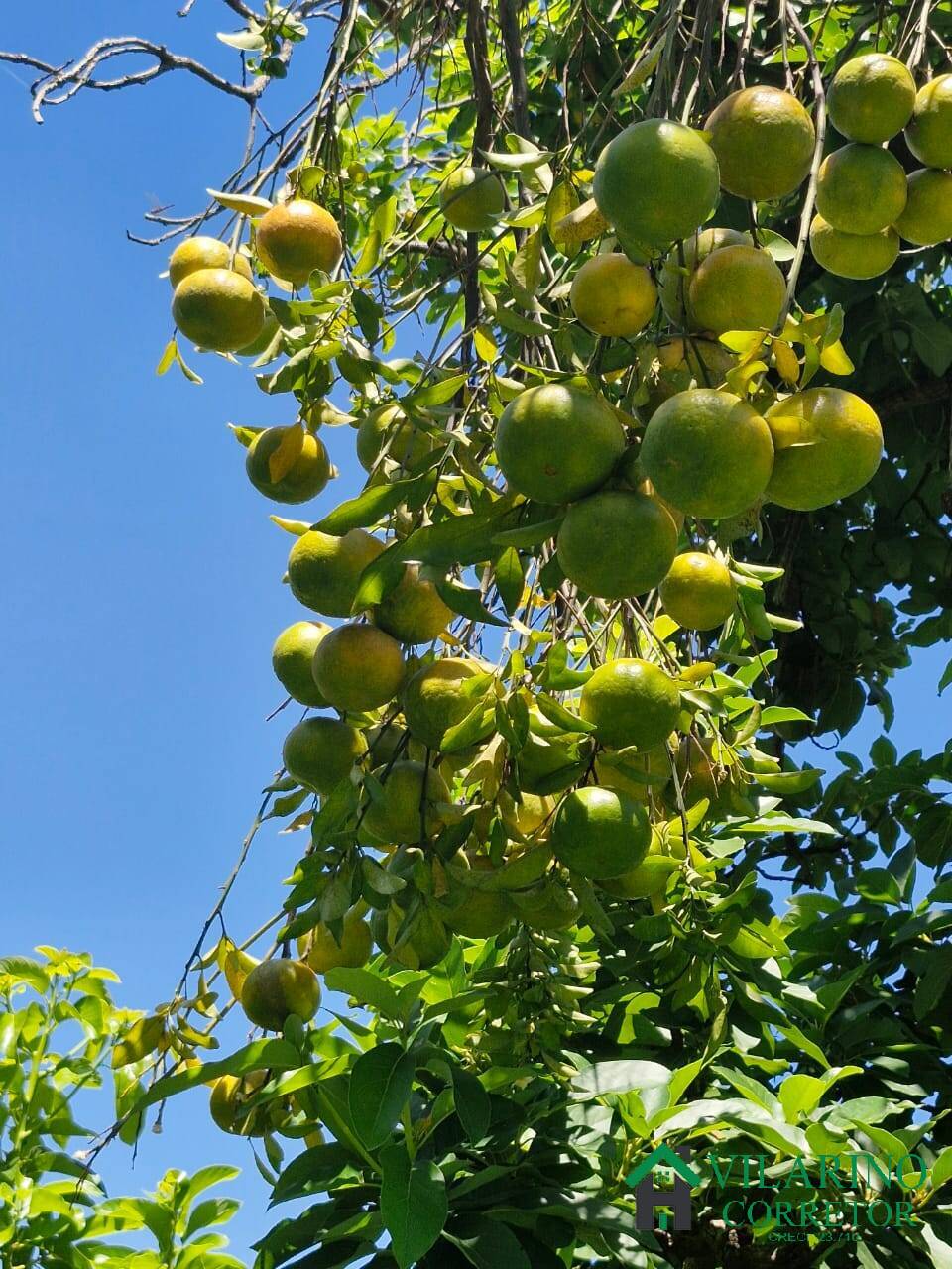 Casa, 3 quartos - Foto 41