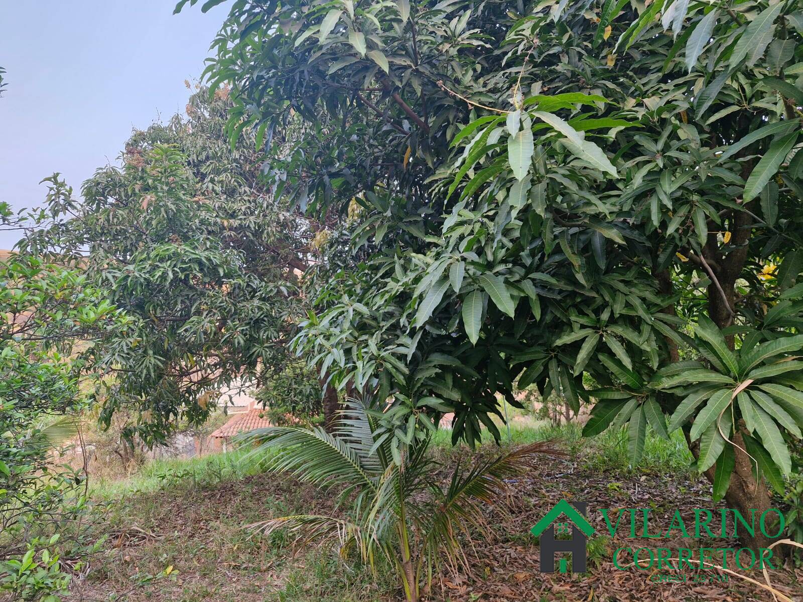 Casa, 3 quartos - Foto 31