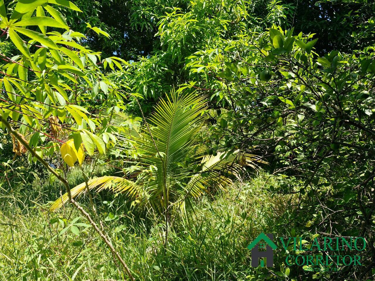 Casa, 3 quartos - Foto 40