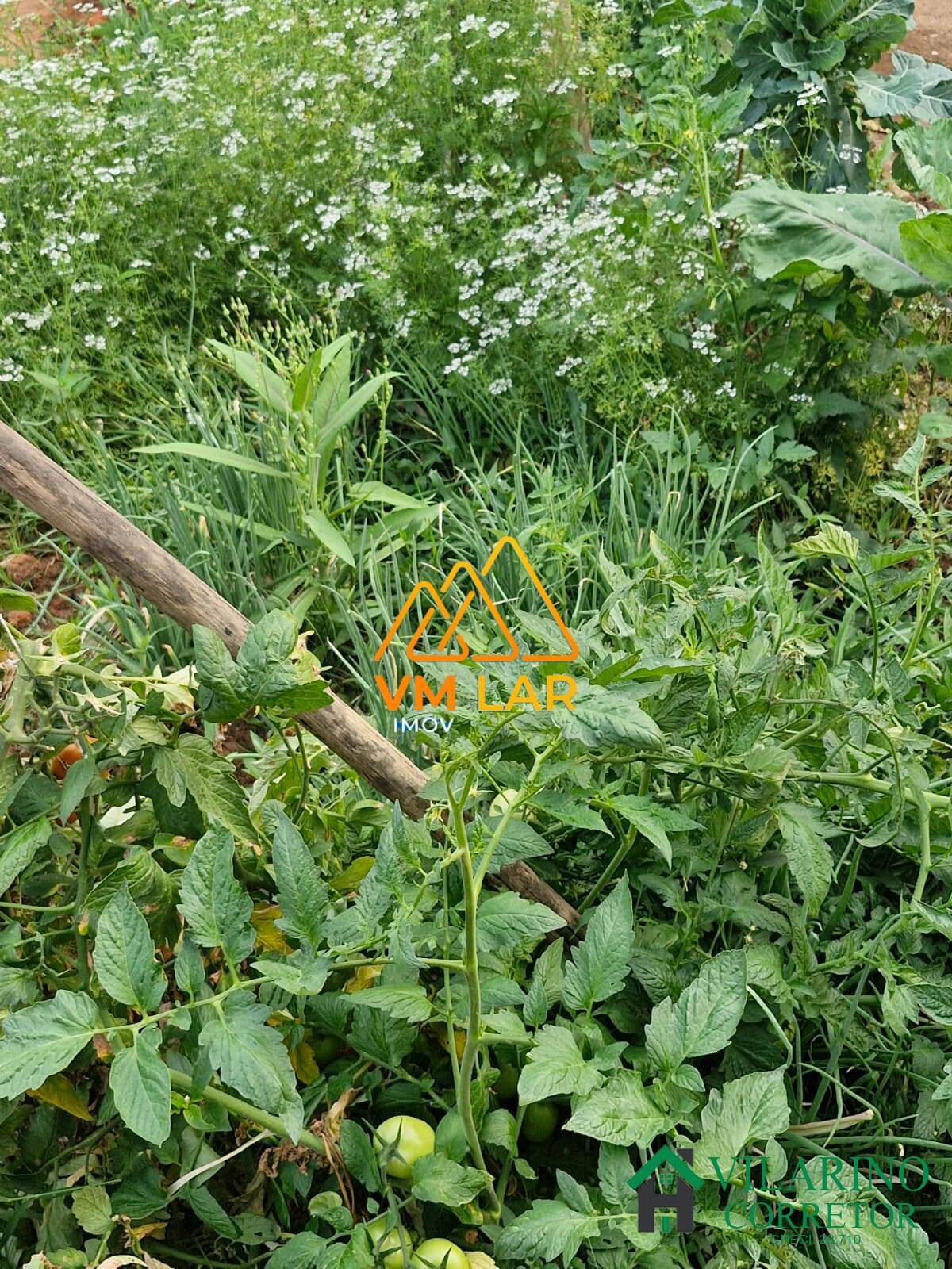 Casa, 3 quartos - Foto 42