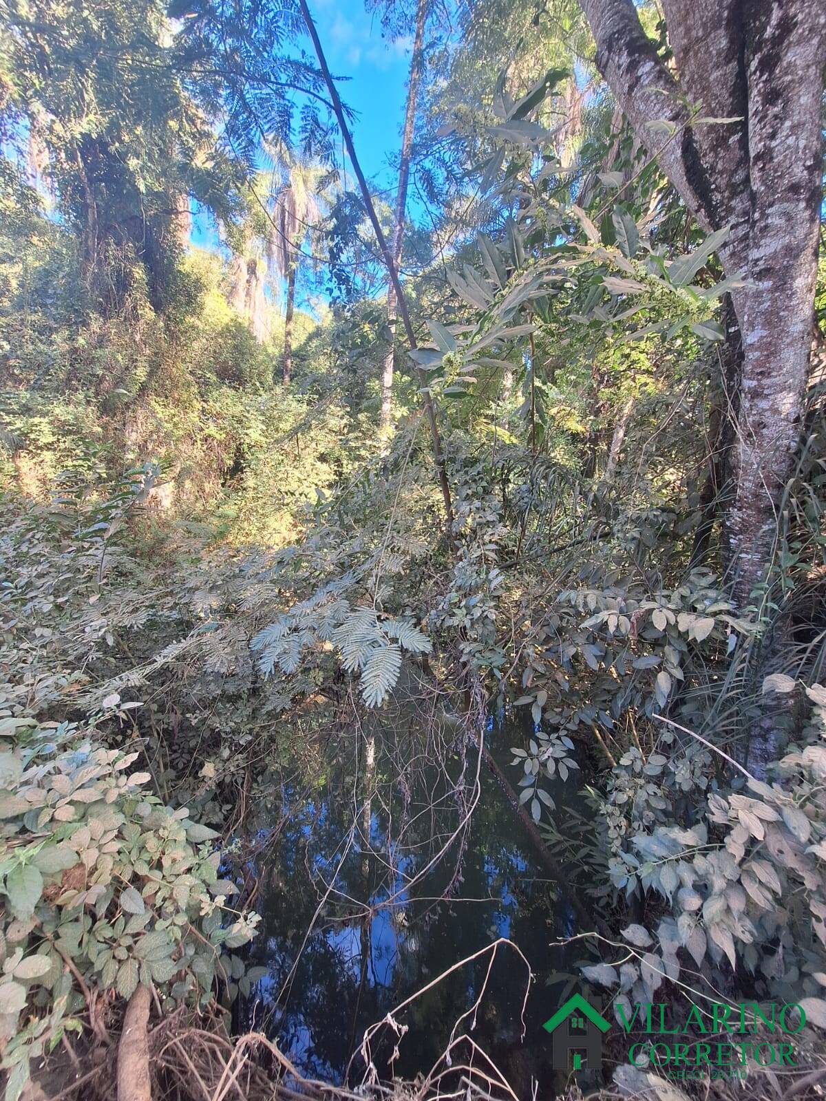 Terreno à venda, 220m² - Foto 6