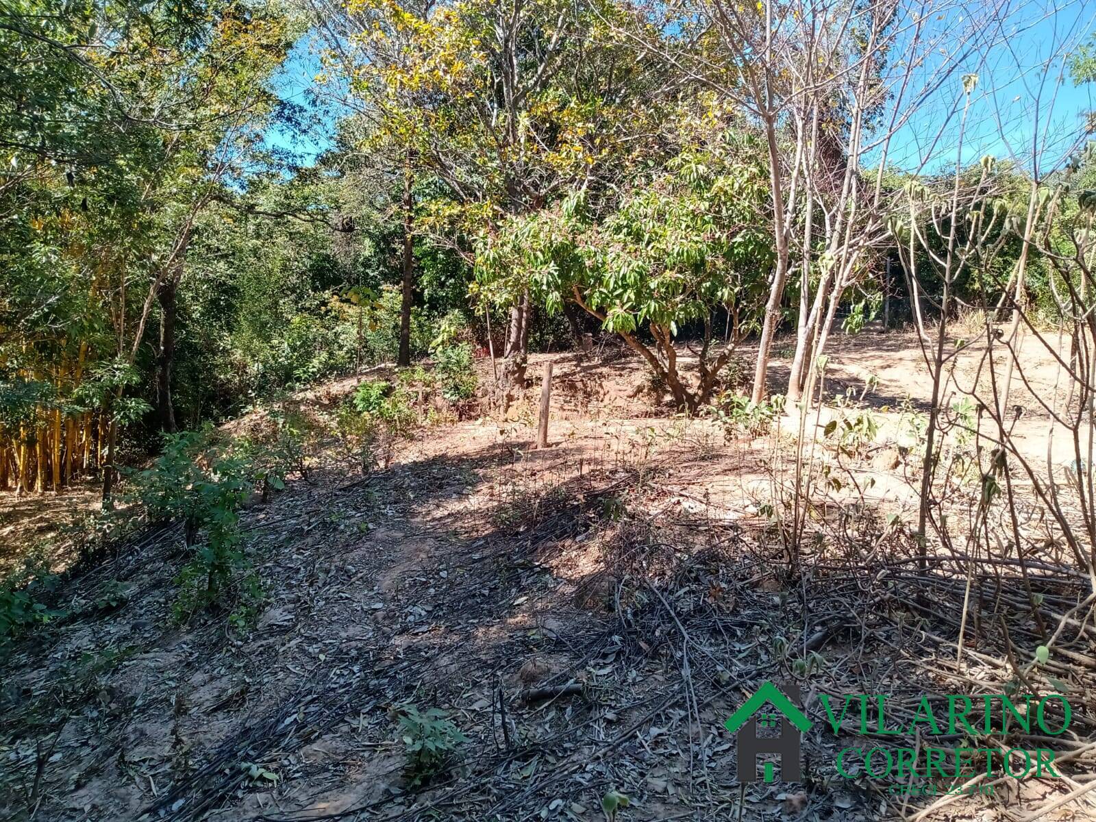 Terreno à venda, 1000m² - Foto 2