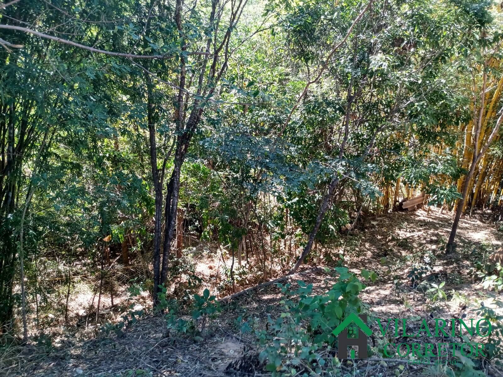 Terreno à venda, 1000m² - Foto 3