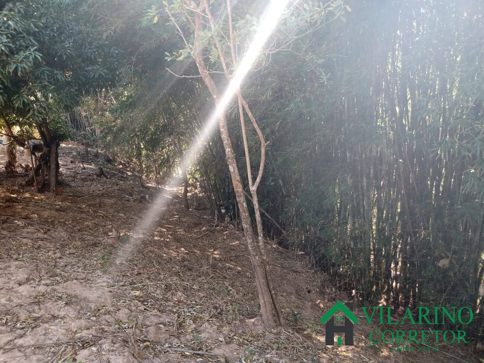Terreno à venda, 1000m² - Foto 6