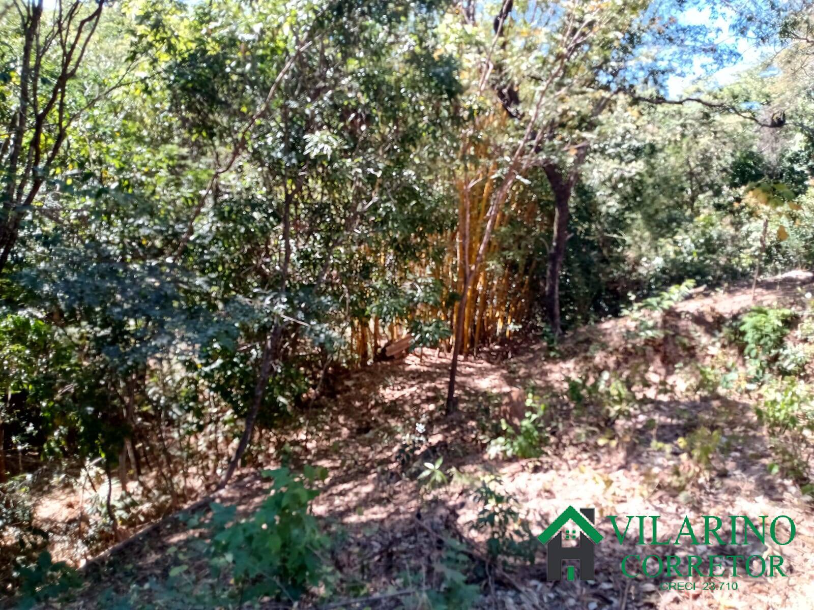 Terreno à venda, 1000m² - Foto 7