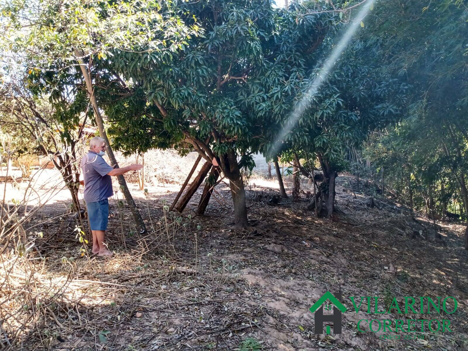 Terreno à venda, 1000m² - Foto 10