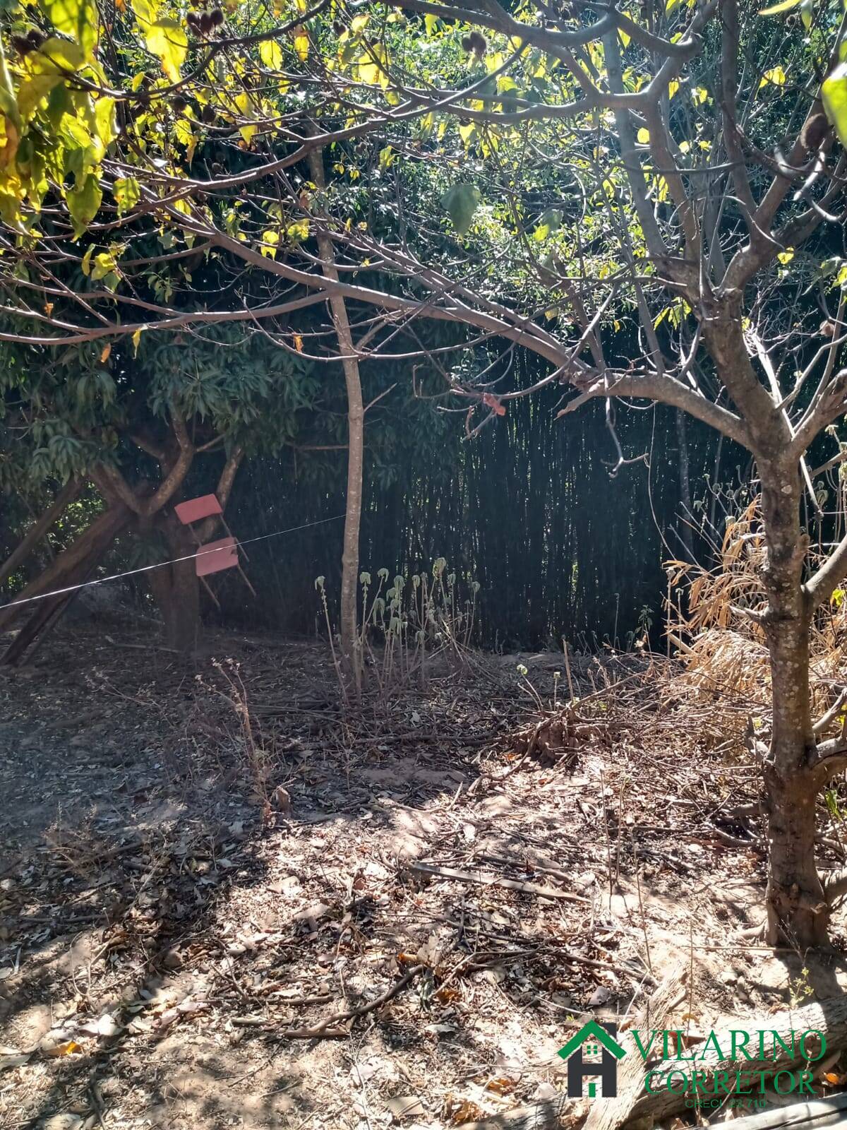 Terreno à venda, 1000m² - Foto 14