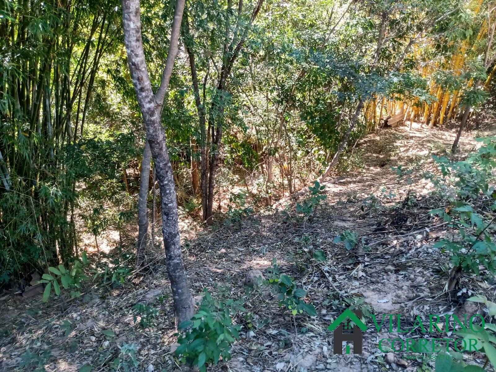 Terreno à venda, 1000m² - Foto 16