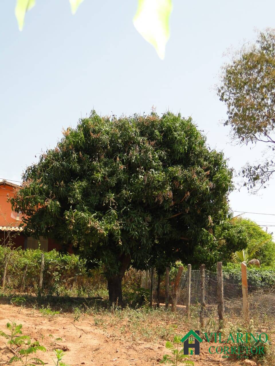 Terreno à venda, 1000m² - Foto 22