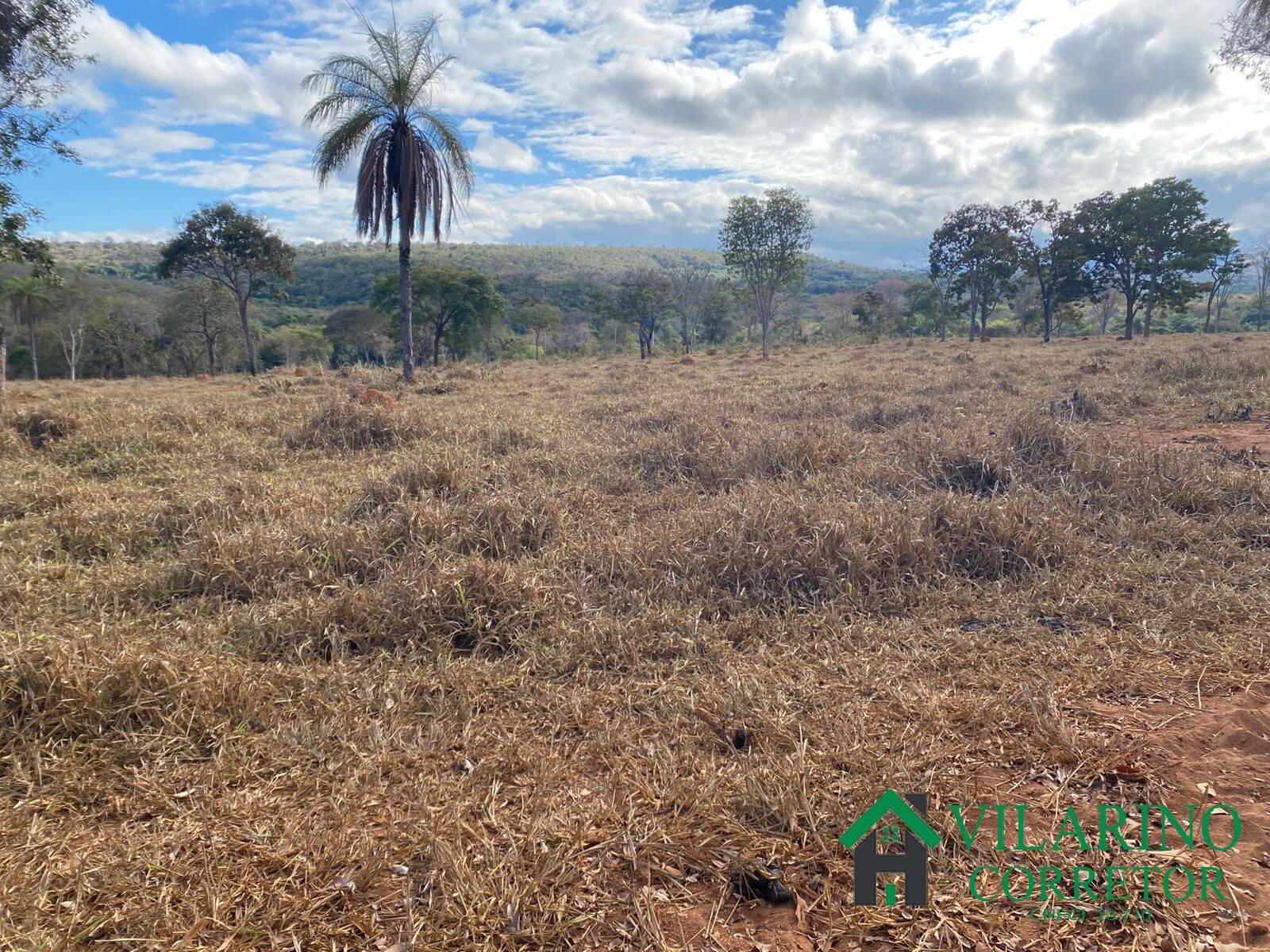 Terreno à venda, 235m² - Foto 8