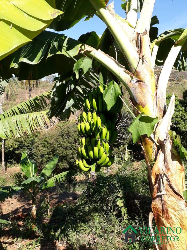 Sítio, 4 quartos, 3000 m² - Foto 16