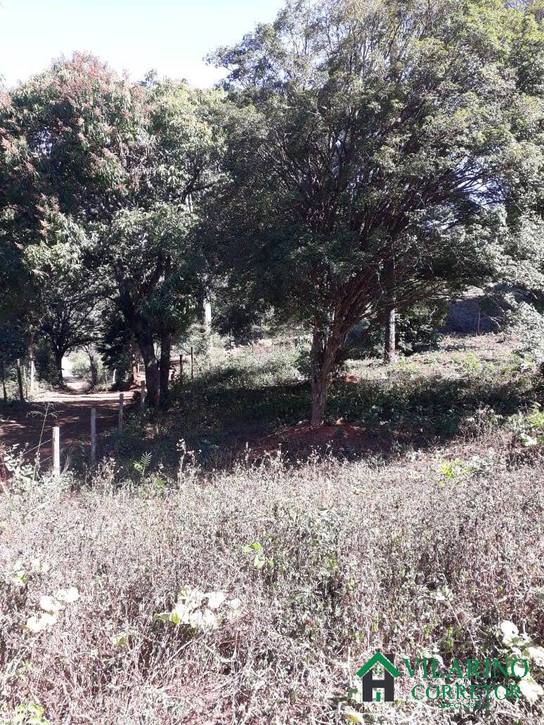 Sítio, 4 quartos, 3000 m² - Foto 17