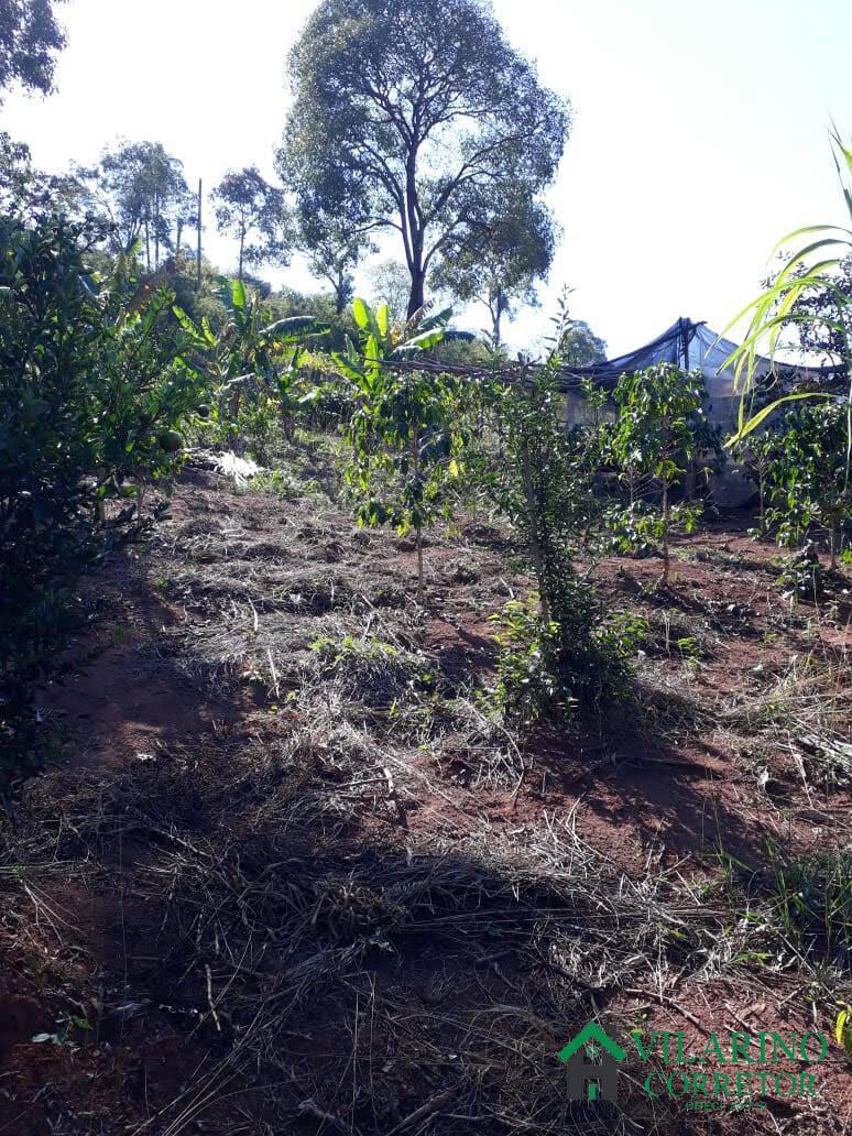 Sítio, 4 quartos, 3000 m² - Foto 18