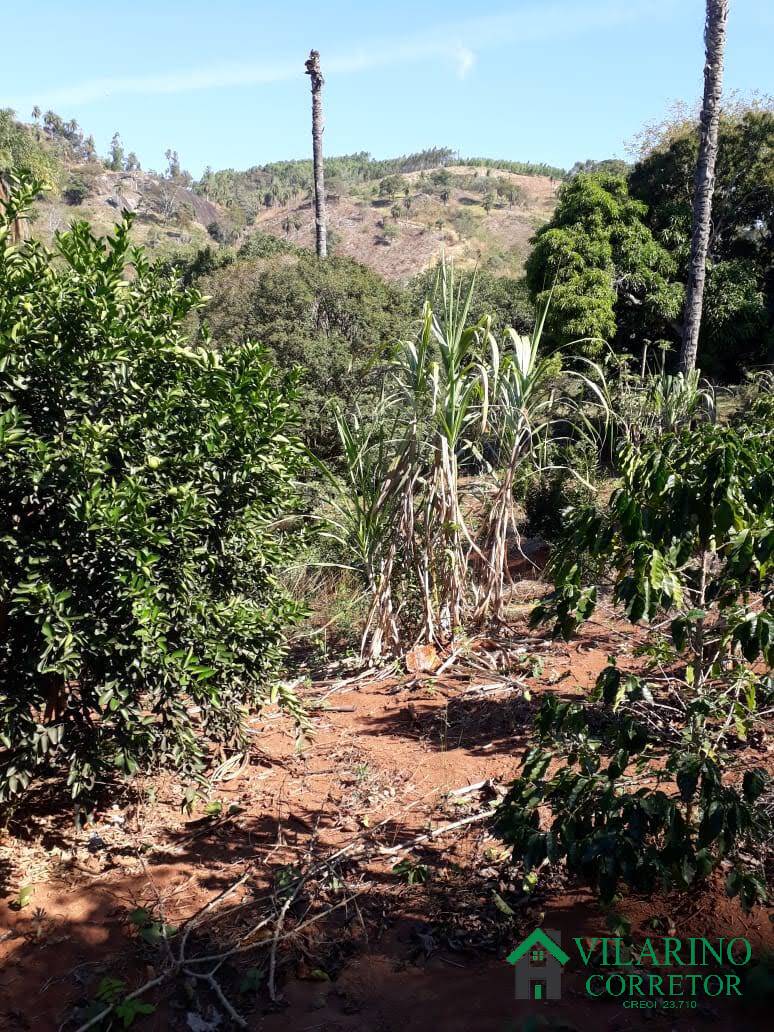 Sítio, 4 quartos, 3000 m² - Foto 19