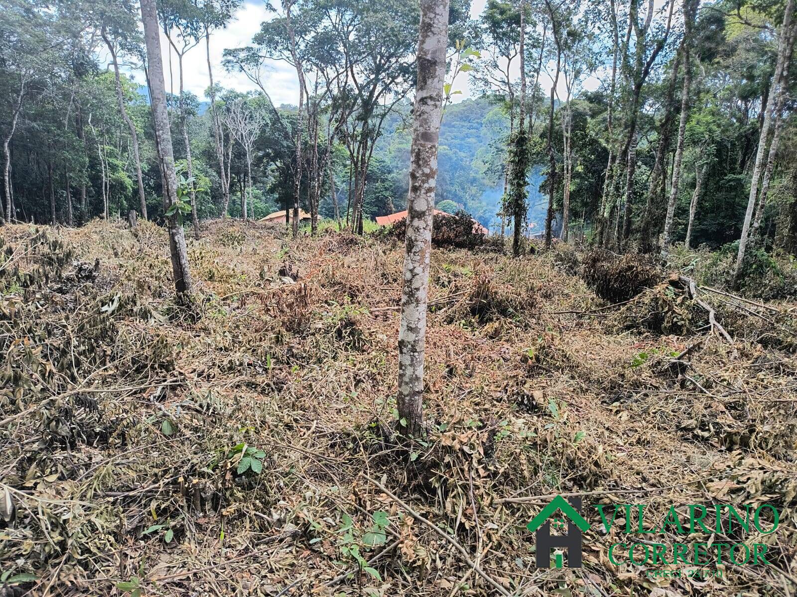 Terreno, 9640 m² - Foto 2