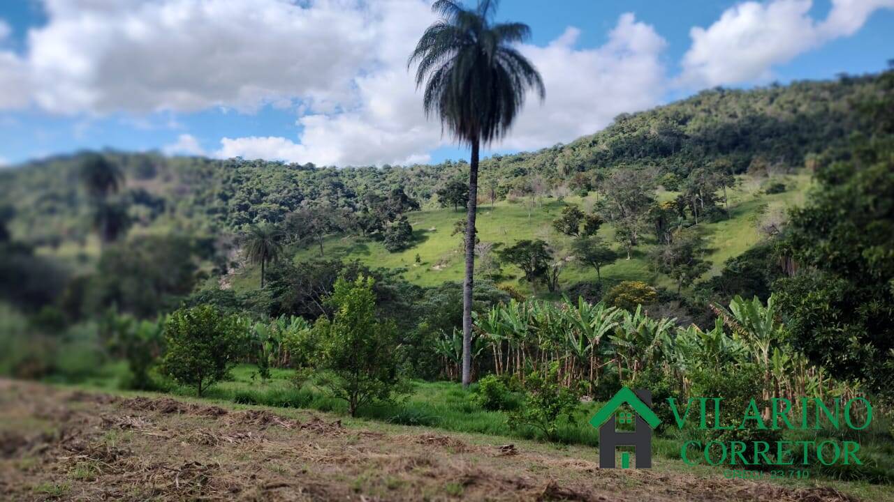 Fazenda, 97 hectares - Foto 17