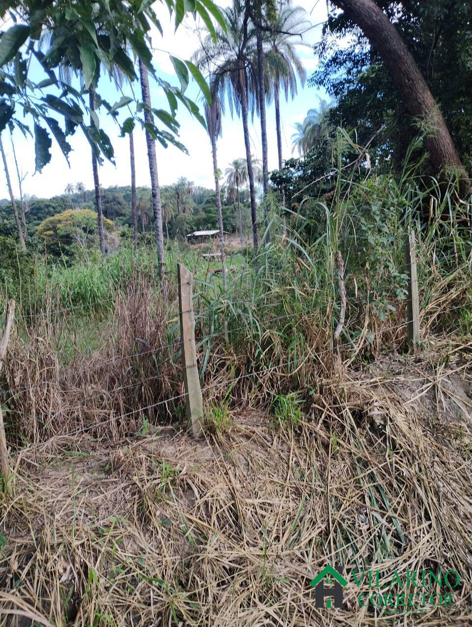 Fazenda, 97 hectares - Foto 18