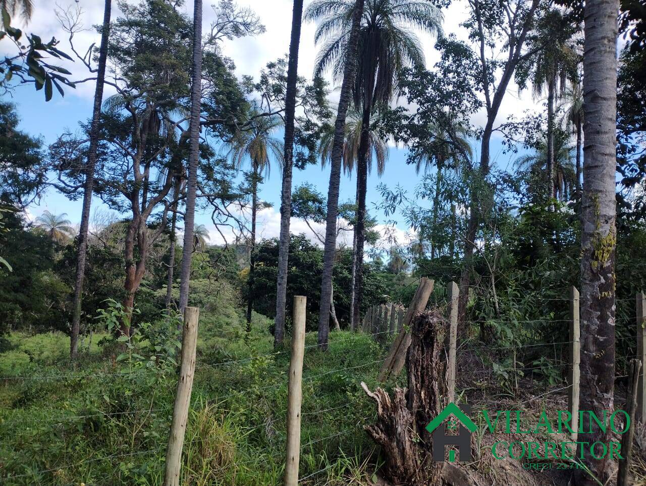 Fazenda, 97 hectares - Foto 20