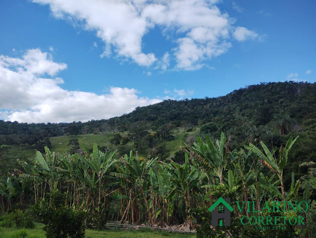 Fazenda, 97 hectares - Foto 21