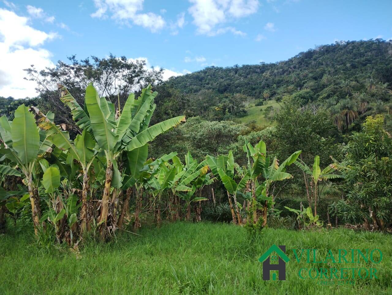 Fazenda, 97 hectares - Foto 22