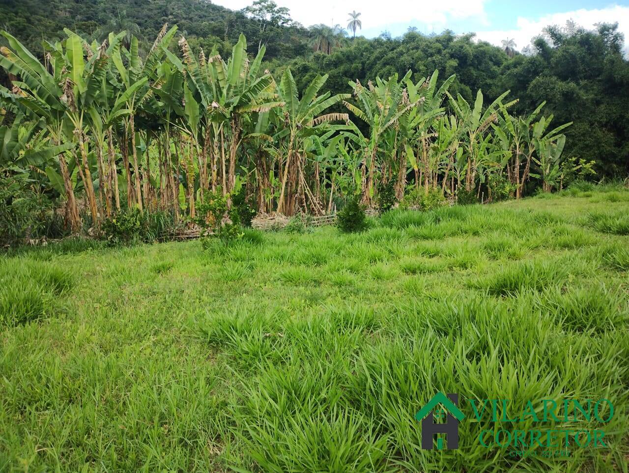 Fazenda, 97 hectares - Foto 23