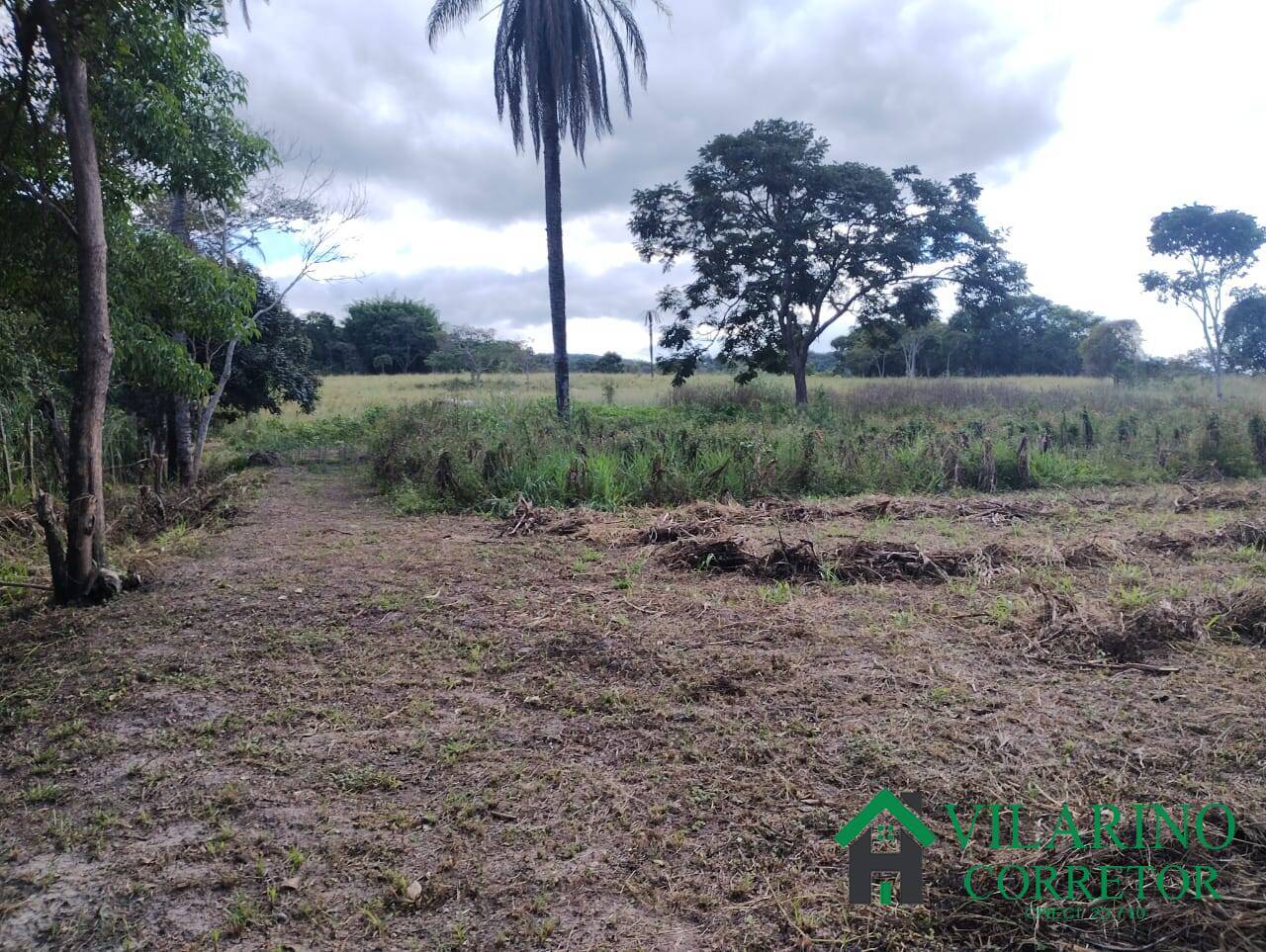Fazenda, 97 hectares - Foto 24
