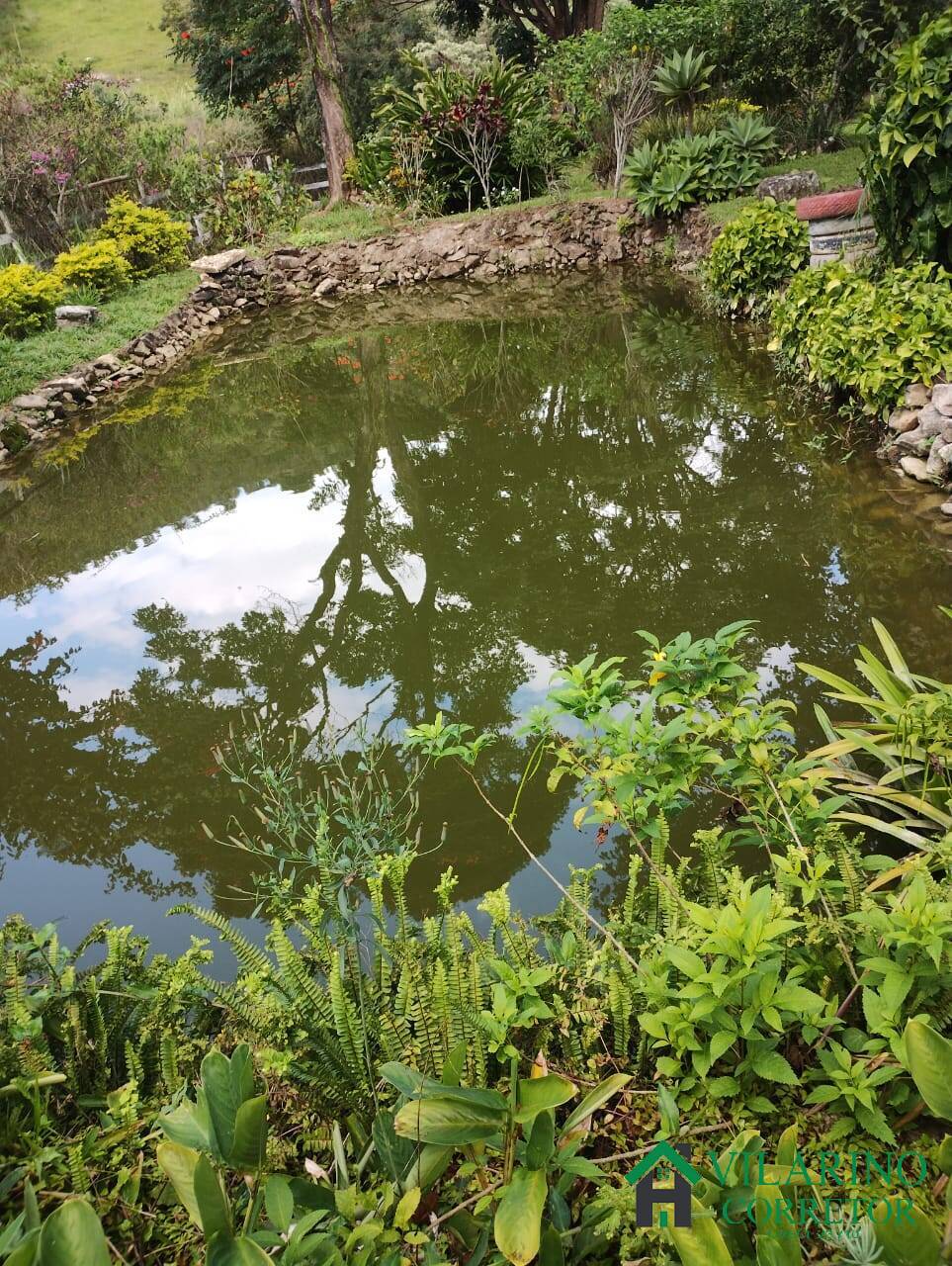 Fazenda, 97 hectares - Foto 27