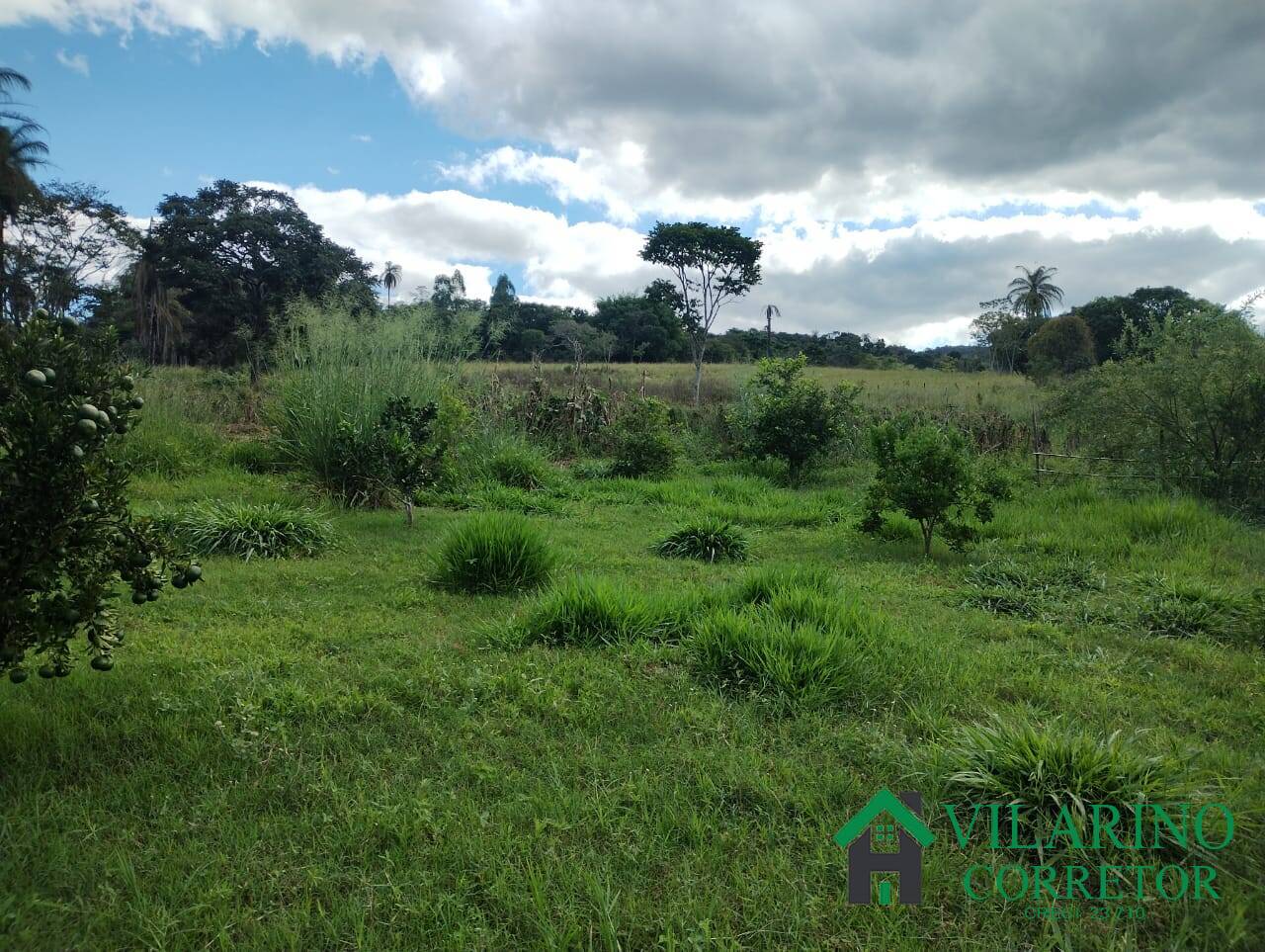 Fazenda, 97 hectares - Foto 29