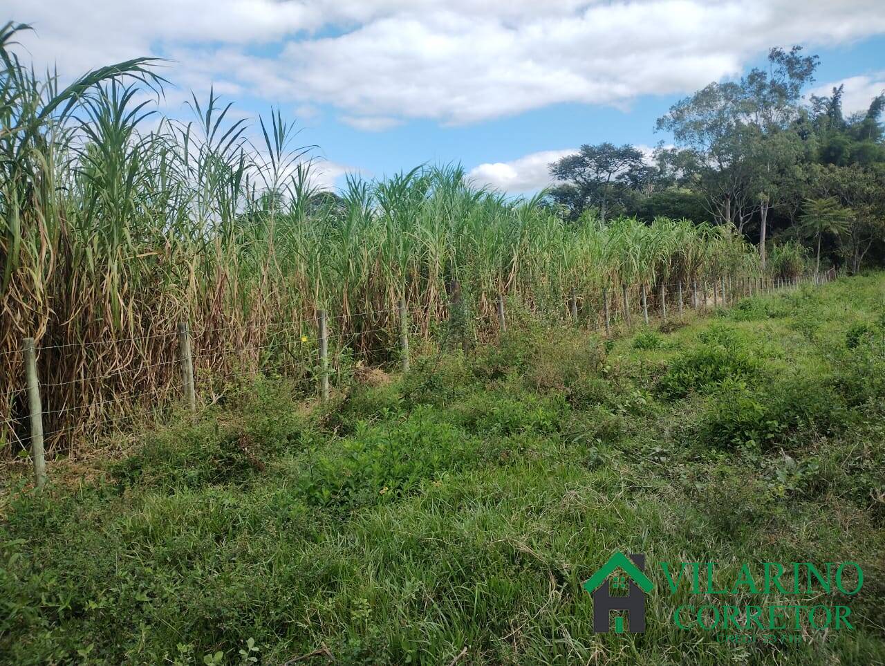 Fazenda, 97 hectares - Foto 39