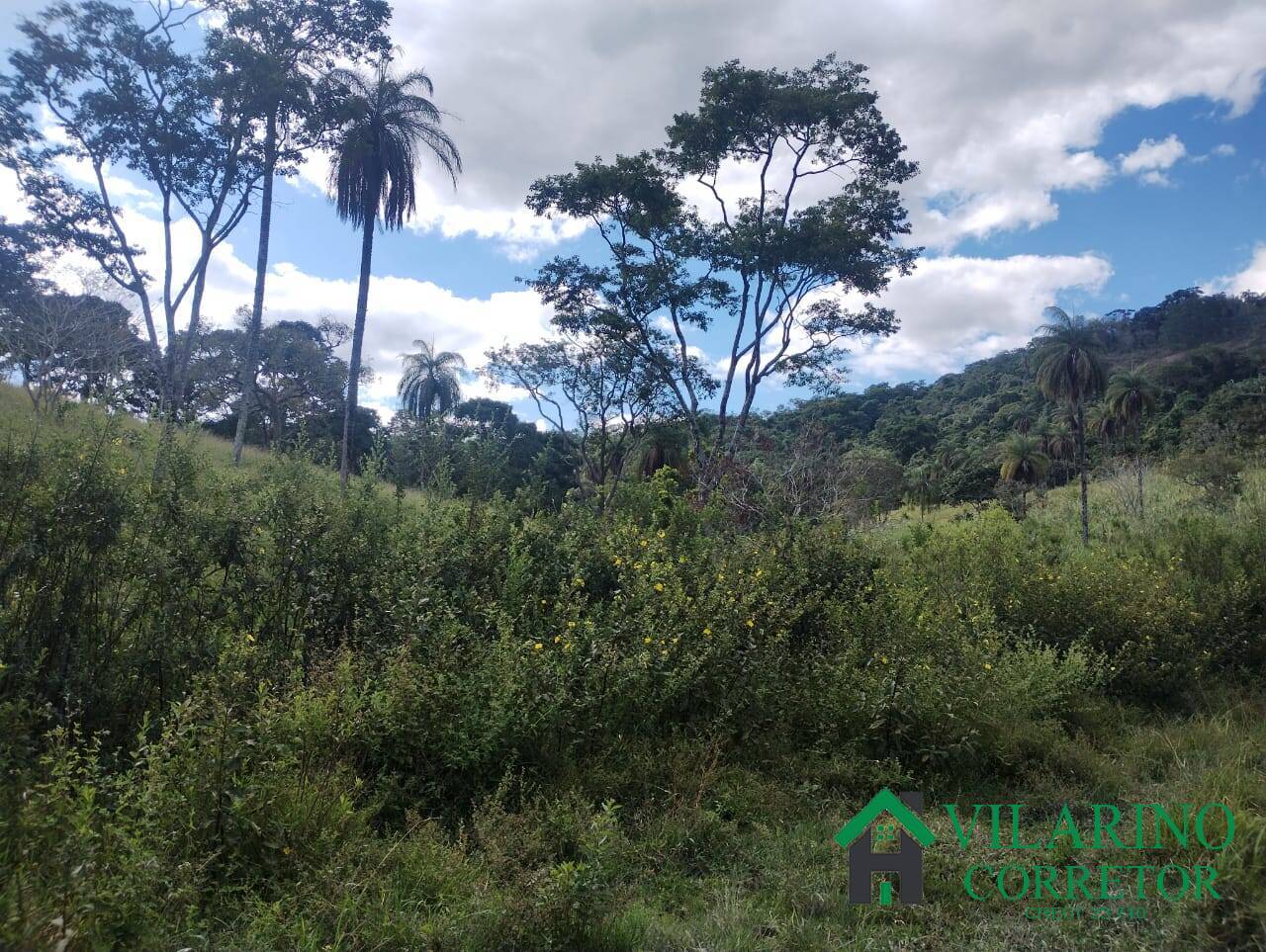 Fazenda, 97 hectares - Foto 40